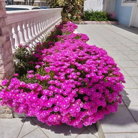 Apartman Atrium #3 *