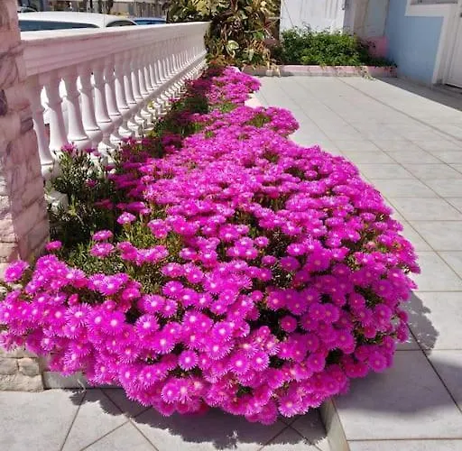 Apartman Atrium #3 *